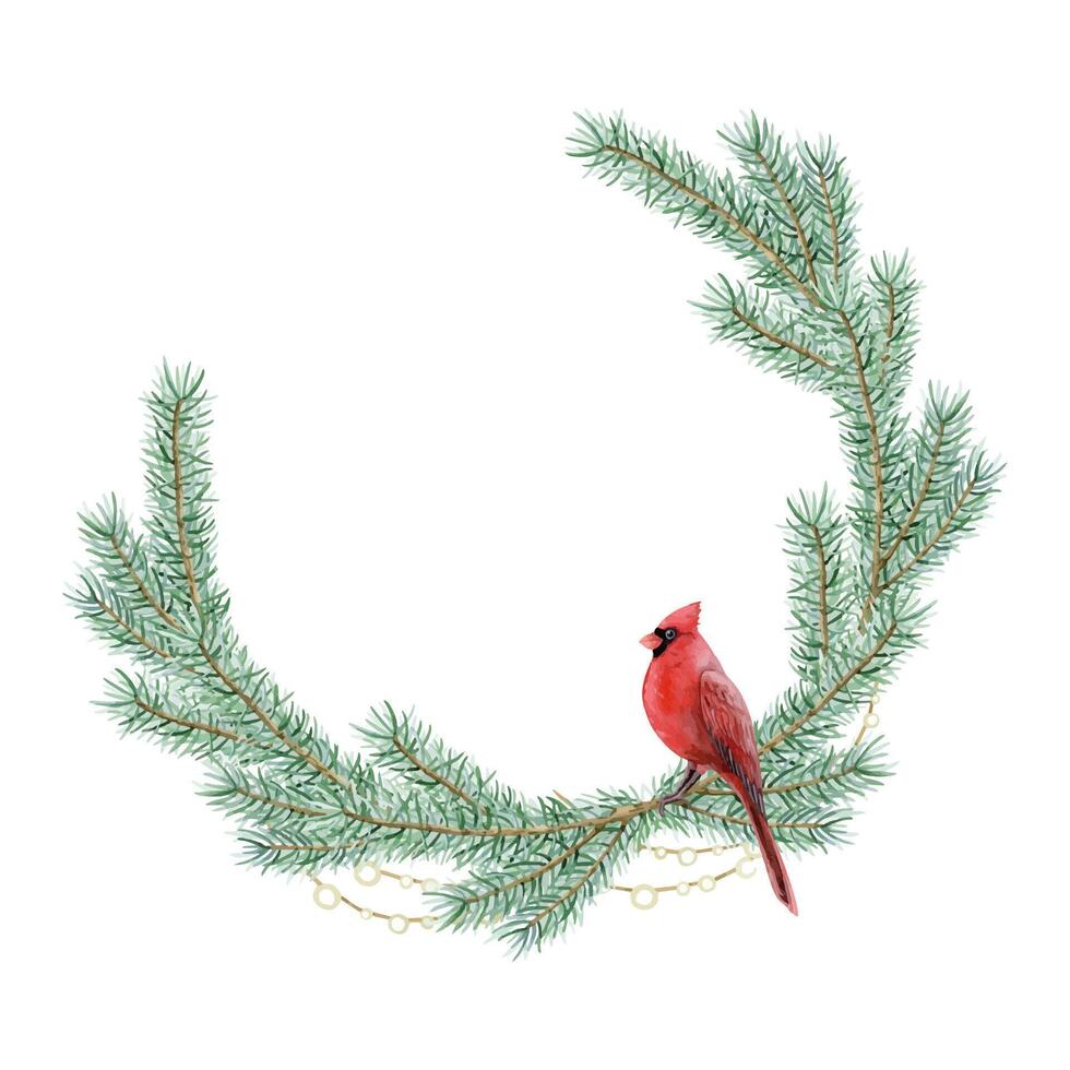 Kerstmis boom takken met rood kardinaal vogel ronde krans kader waterverf illustratie voor winter vakantie groeten vector
