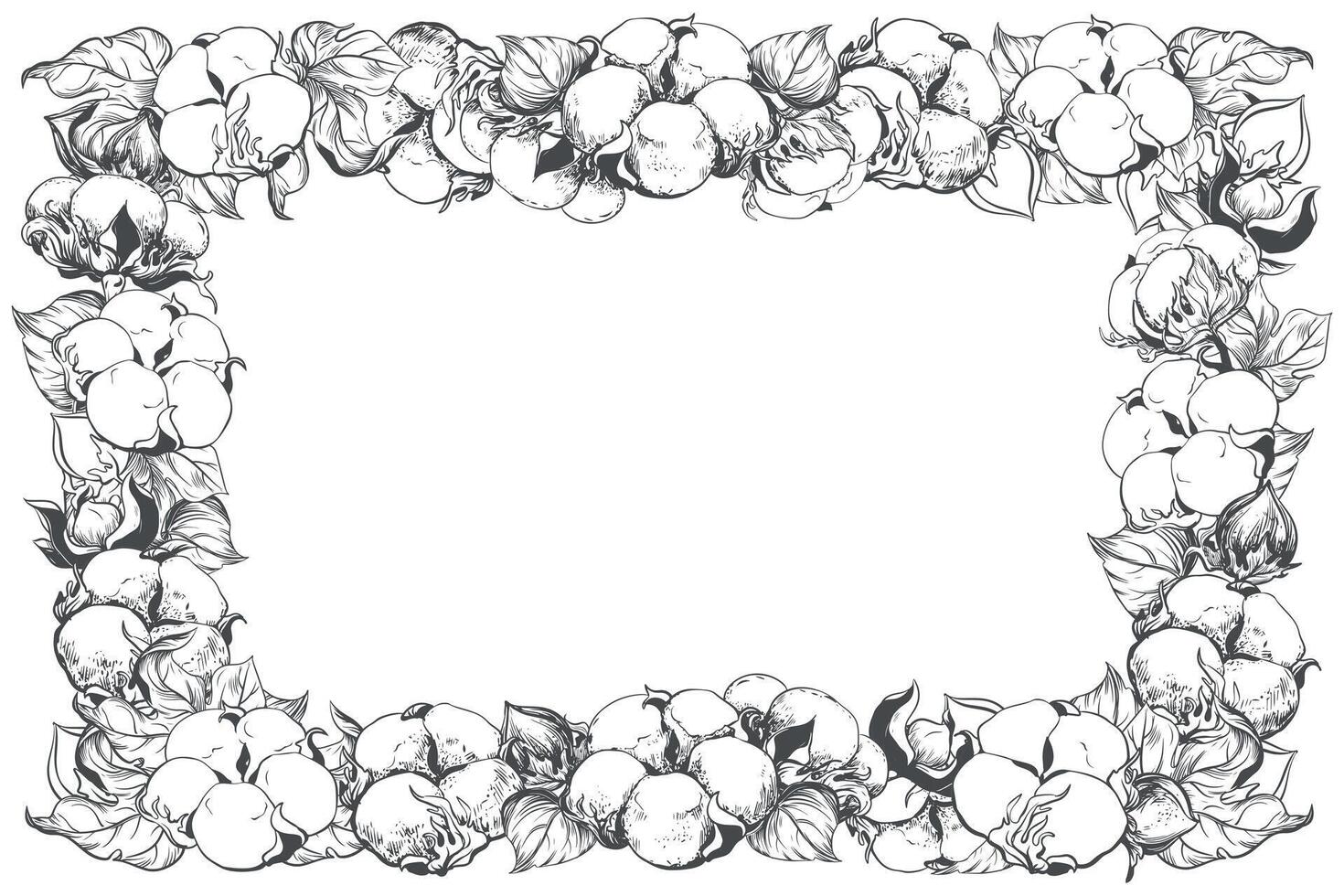 rechthoekig horizontaal kader met katoen bloemen en ruimte voor tekst. lineair schetsen van wit katoen ballen, bladeren en takken. retro inkt illustratie. ontwerp voor label, label, bruiloft uitnodiging. vector