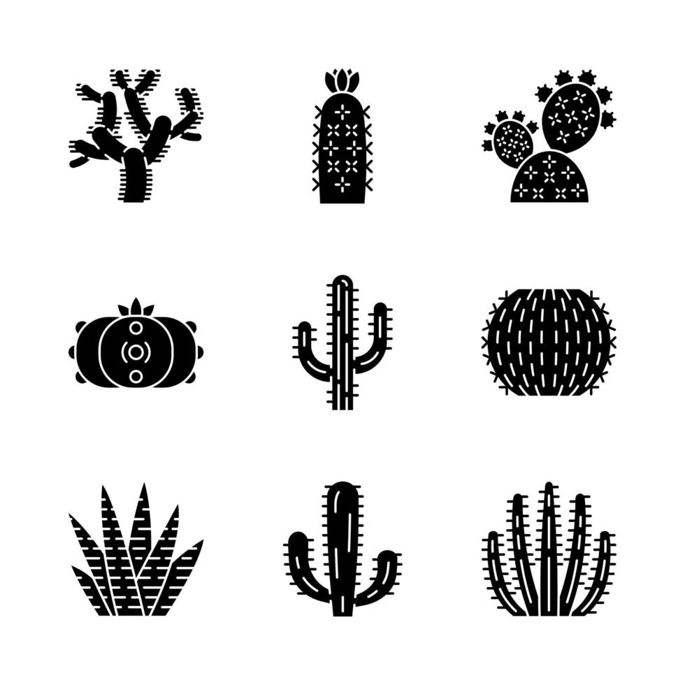 wilde cactussen glyph pictogrammen instellen. Zuid-Amerikaanse tropische flora. vetplanten. stekelige planten. cactussen collectie. silhouet symbolen. vector geïsoleerde illustratie