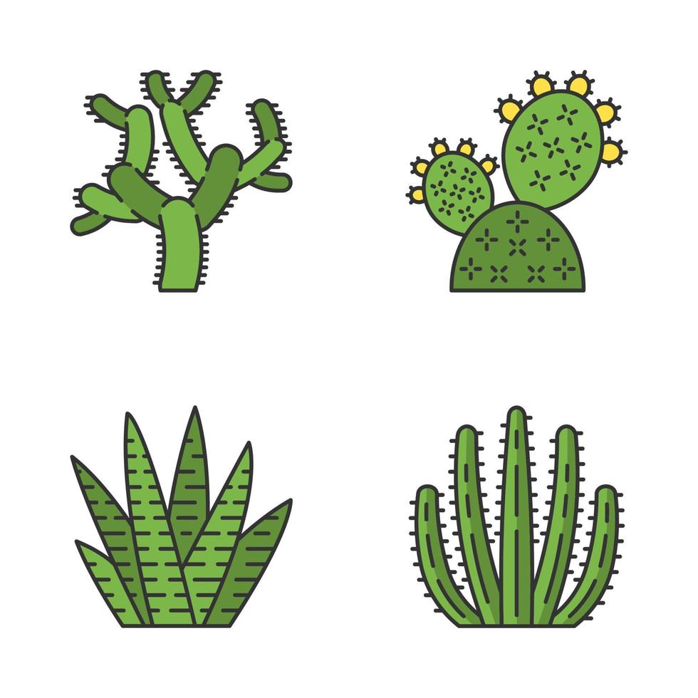 wilde cactus kleur pictogrammen instellen. groene vetplanten. exotische Mexicaanse flora. chola, cactusvijg, zebracactus, orgelpijpcactussen. geïsoleerde vectorillustraties vector