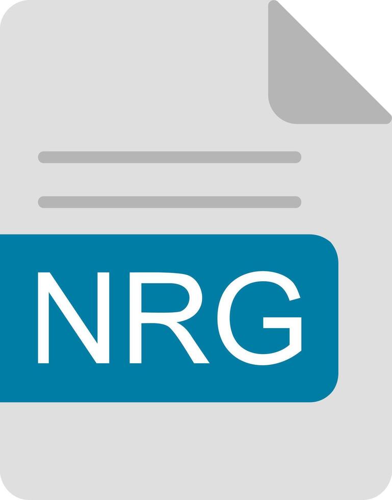 nrg het dossier formaat vlak icoon vector