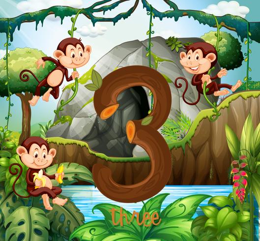 Drie aap in de jungle vector