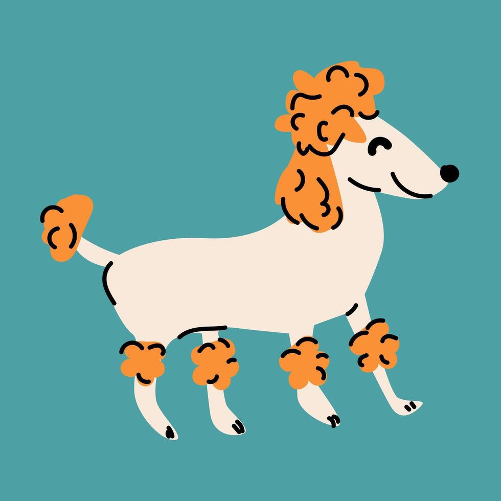 schattig hond, puppy - poedel ras. hoektand dier, groot hond. vlak illustratie van poedel vector