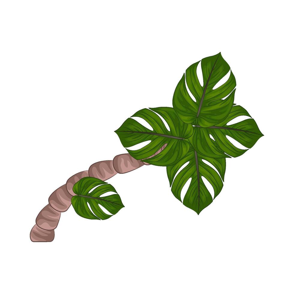 illustratie van palm boom vector