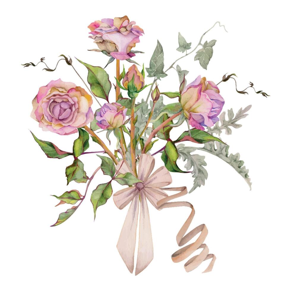 hand- getrokken waterverf illustratie haveloos boho botanisch bloemen bladeren. stoffig roze thee roos, klimop ranken, zilver cineraria met boog binden. boeket geïsoleerd wit achtergrond. ontwerp bruiloft, liefde kaarten vector