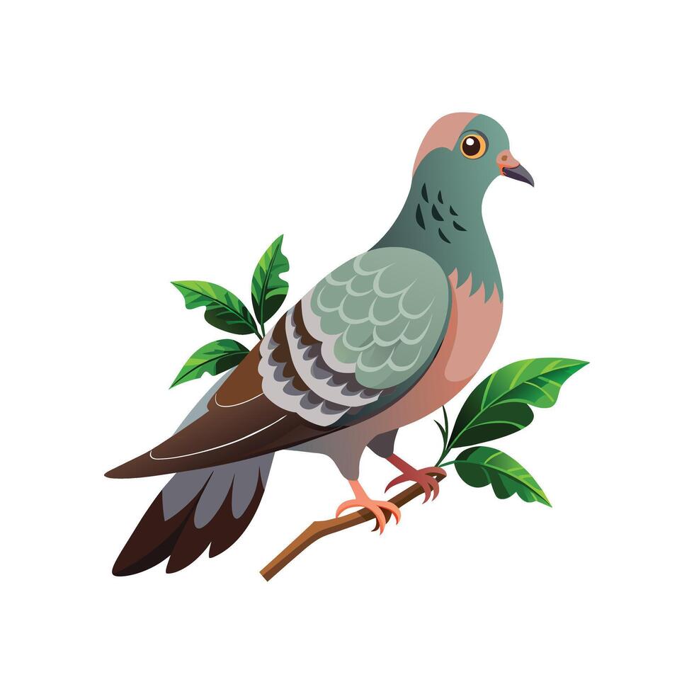 realistisch duivenvogel concept illustratie vector