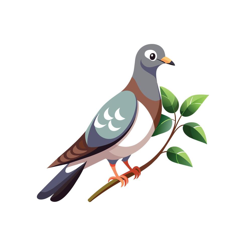 realistisch duivenvogel concept illustratie vector