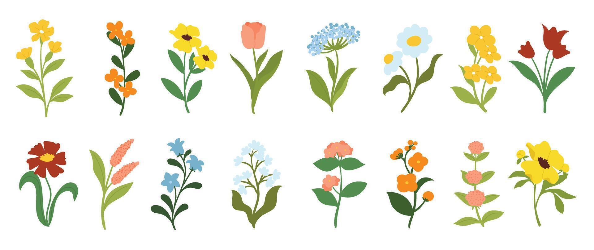 verzameling van bloemen en botanisch elementen. reeks van blad, gebladerte wilde bloemen, planten, bloeien, bladeren en kruid. hand- getrokken van bloesem voorjaar seizoen s voor decor, website, bruiloft kaart en winkel. vector