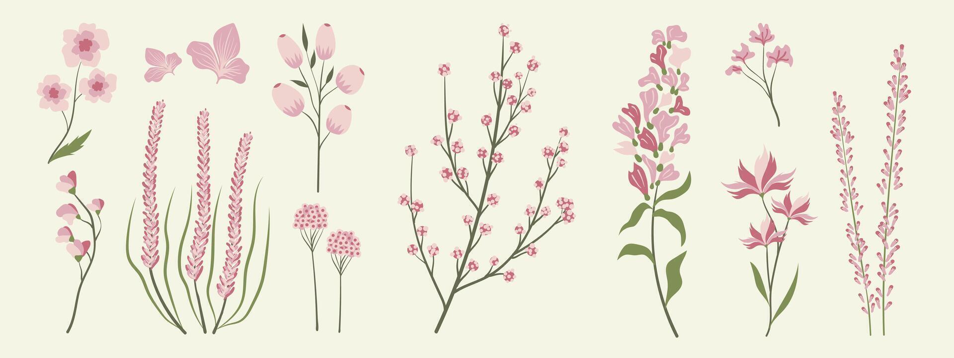 verzameling van bloemen en botanisch elementen. reeks van blad, gebladerte wilde bloemen, planten, bloeien, bladeren en kruid. hand- getrokken van bloesem voorjaar seizoen s voor decor, website, bruiloft kaart en winkel. vector