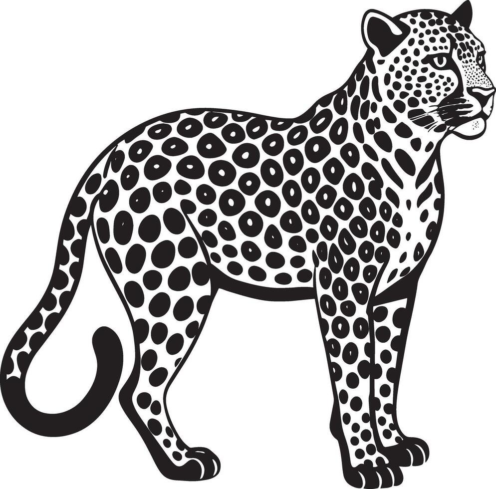 luipaard in de stijl van gravure Aan een wit achtergrond vector