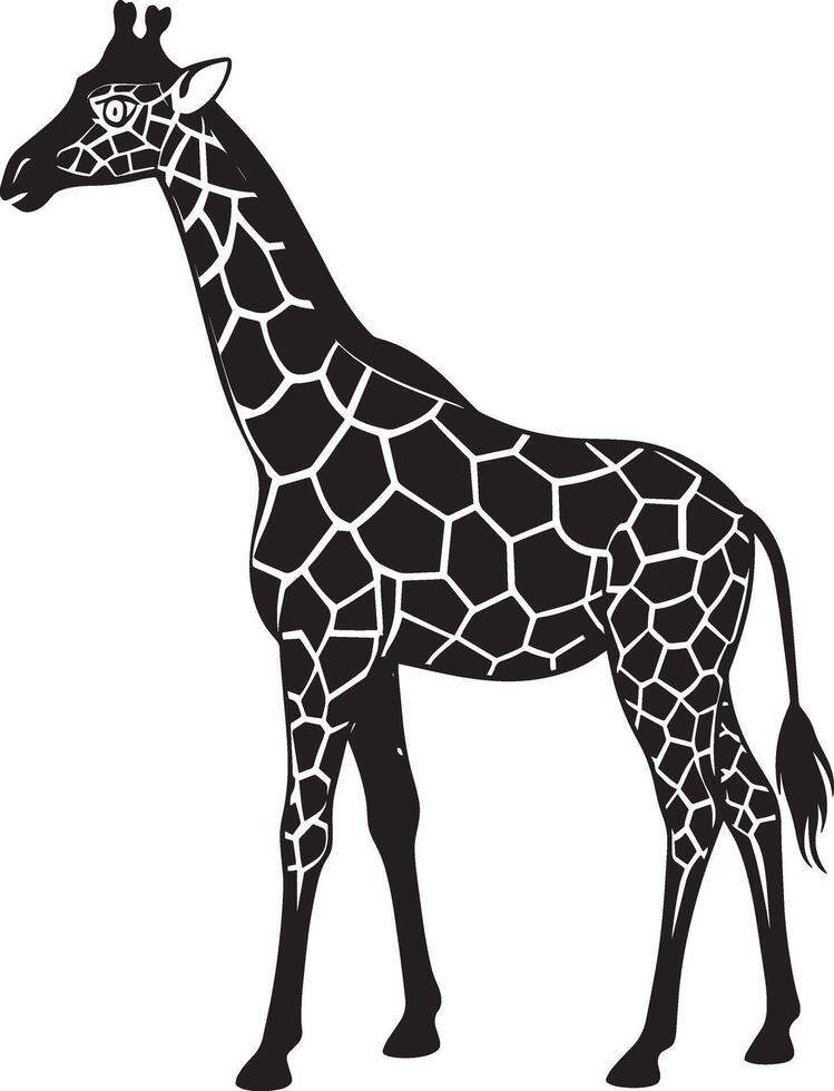 giraffe. illustratie geïsoleerd Aan wit achtergrond. vector