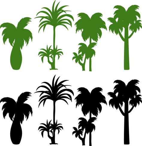 Set van silhouet palmboom vector