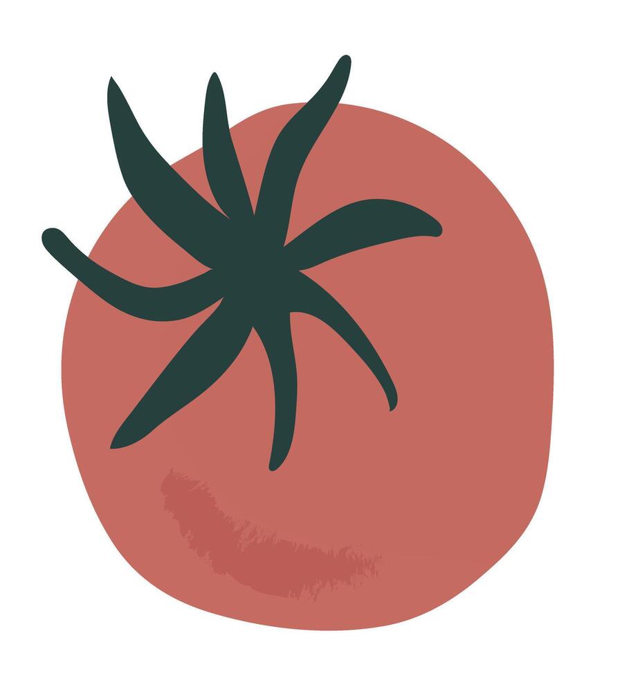 tomaat groente grafisch illustratie, produceren van de tuin, oogst groente clip art, grafisch illustratie vector