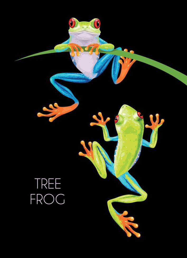 illustratie van hoog gedetailleerd groen boom kikker vector