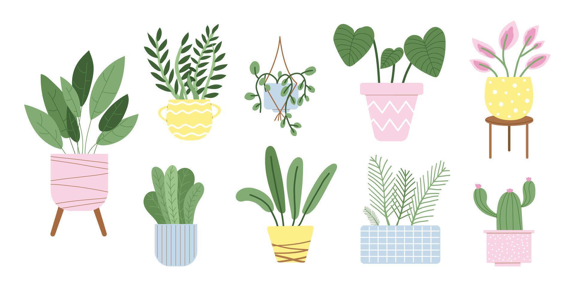 reeks van binnen- bloemen. huis planten in potten. ingemaakt planten voor huis. illustratie met wit geïsoleerd achtergrond. vector