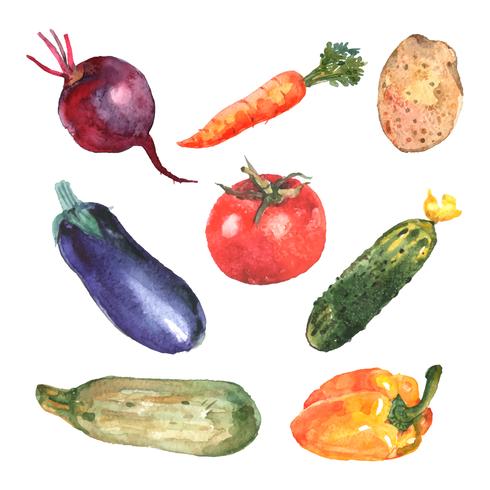 Aquarel groenten Set vector