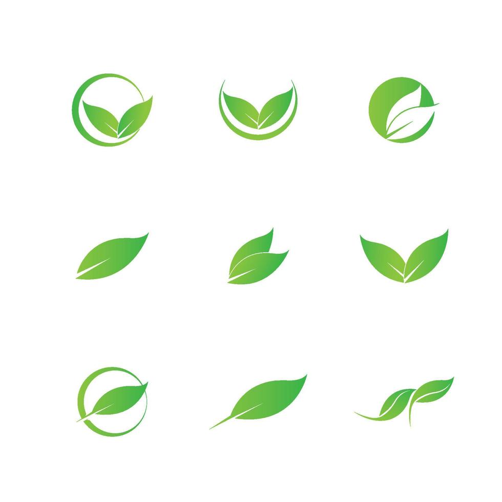 logo's van groen blad ecologie natuurelement vector pictogram