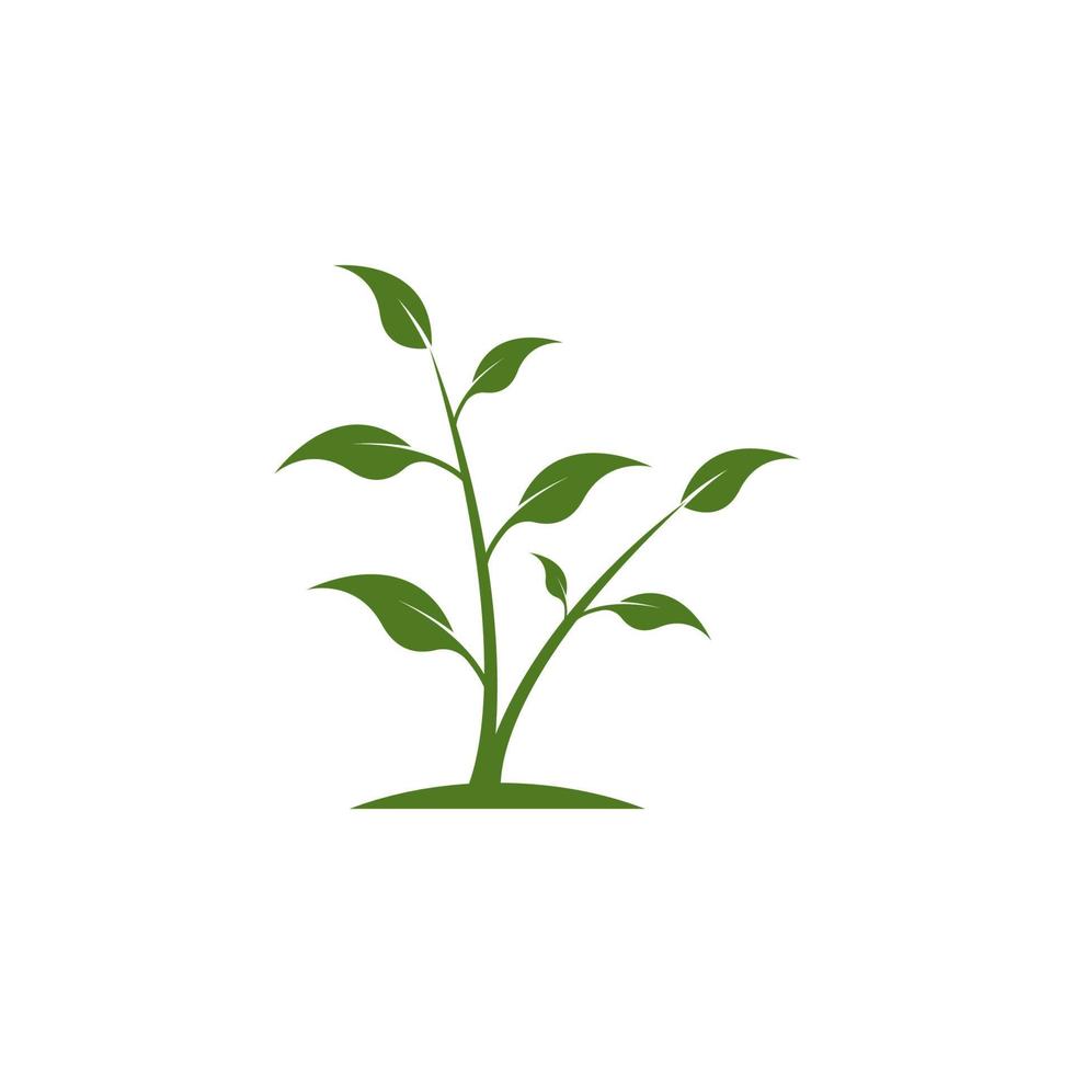 natuur blad pictogram en symbool sjabloon vector