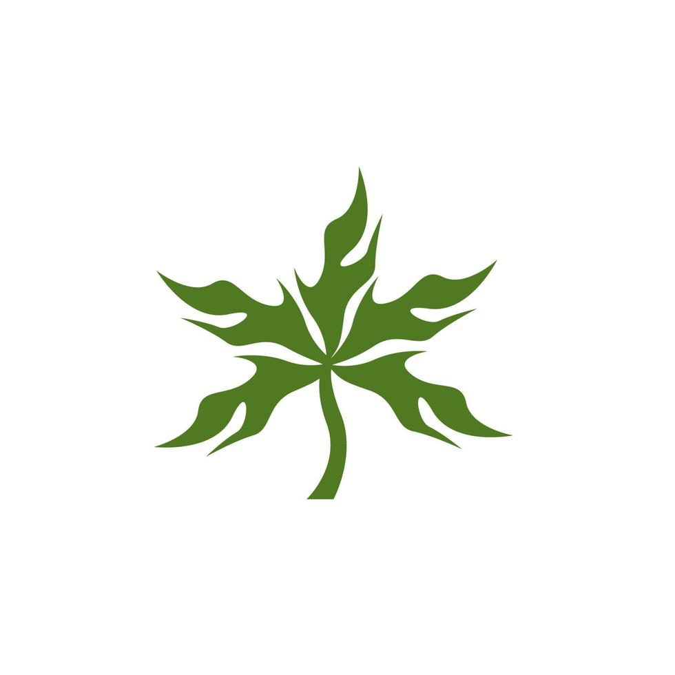 natuur blad pictogram en symbool sjabloon vector