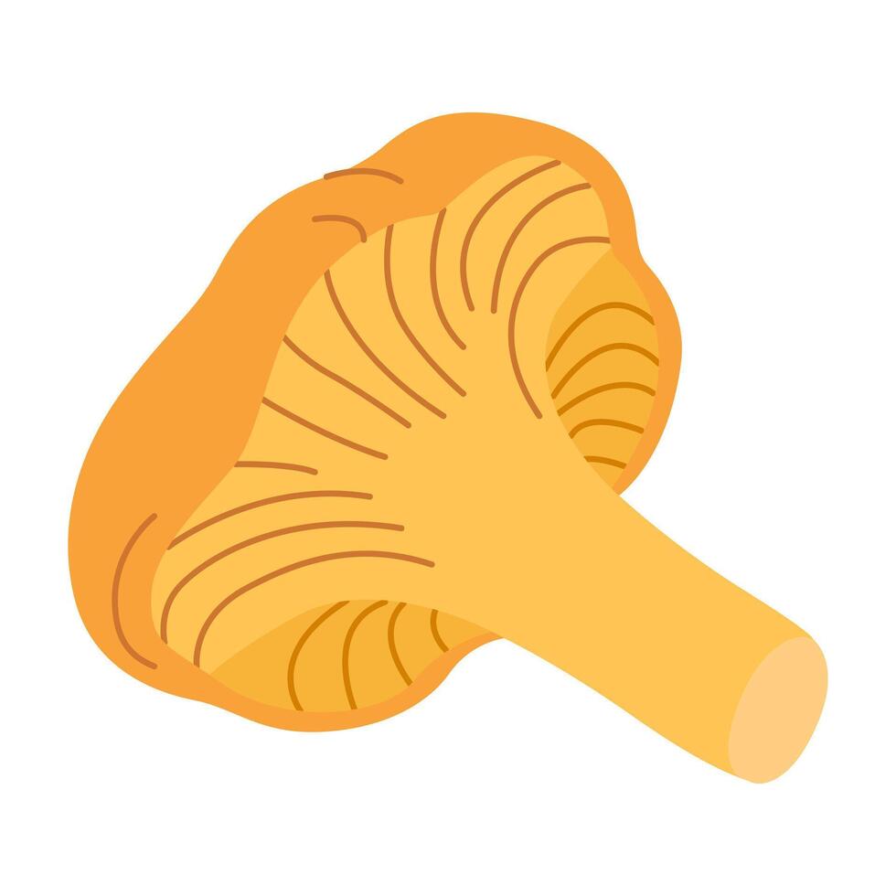 chanterelle illustratie. eetbaar chanterelle champignons. geel paddestoel. hand- getrokken modieus vlak stijl. tekening herfst Woud oogst vector