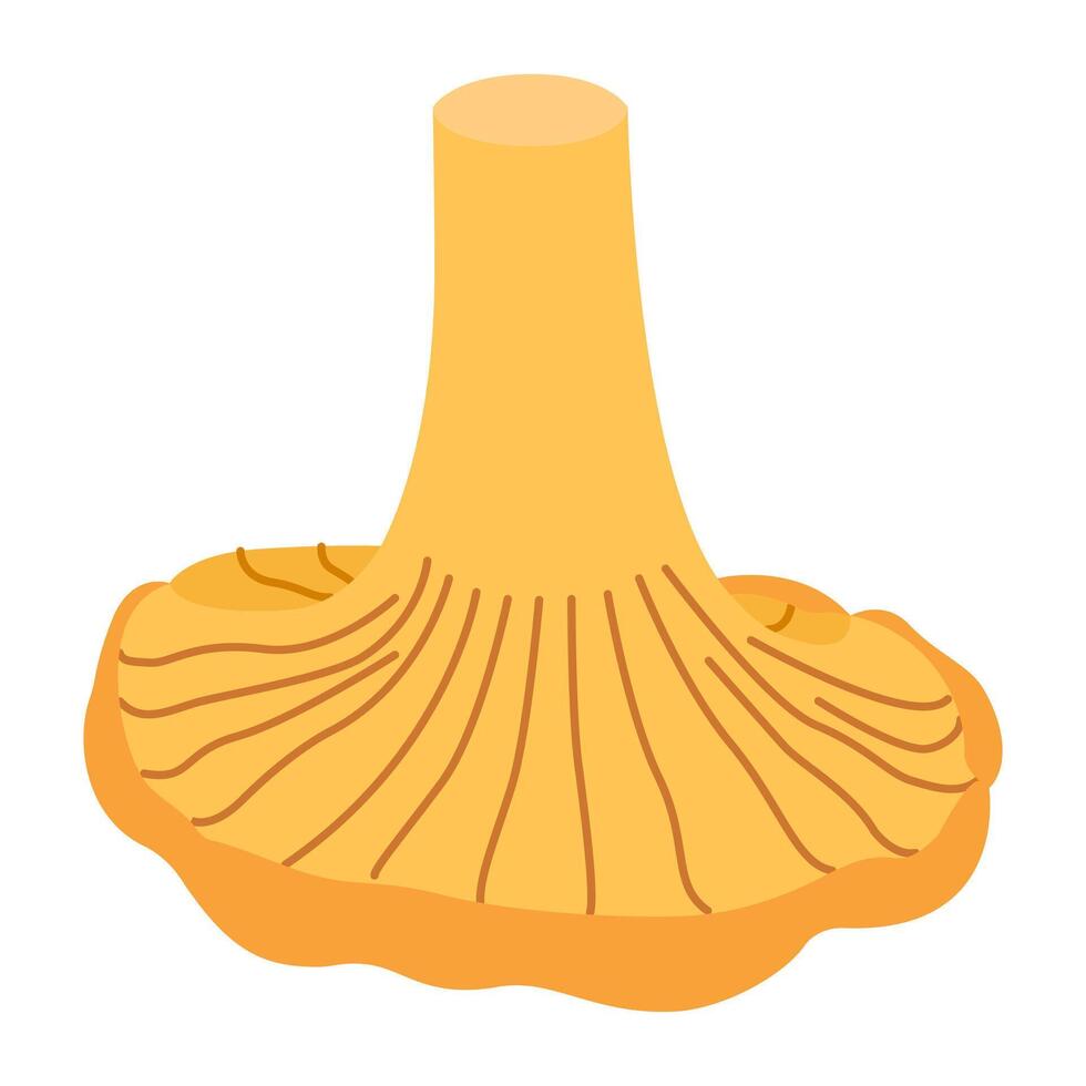 chanterelle illustratie. eetbaar chanterelle champignons. geel paddestoel. hand- getrokken modieus vlak stijl. tekening herfst Woud oogst vector