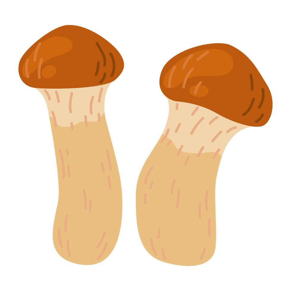 suillus klein champignons. eetbaar schimmel. hand- getrokken modieus vlak stijl geïsoleerd Aan wit achtergrond. herfst Woud oogst, gezond biologisch voedsel, vegetarisch voedsel. vector