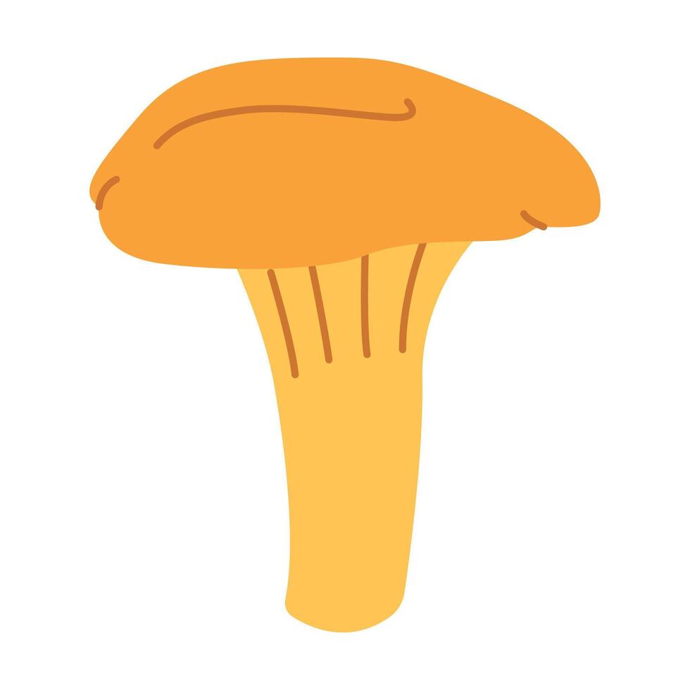 chanterelle illustratie. eetbaar chanterelle champignons. geel paddestoel. hand- getrokken modieus vlak stijl. tekening herfst Woud oogst vector