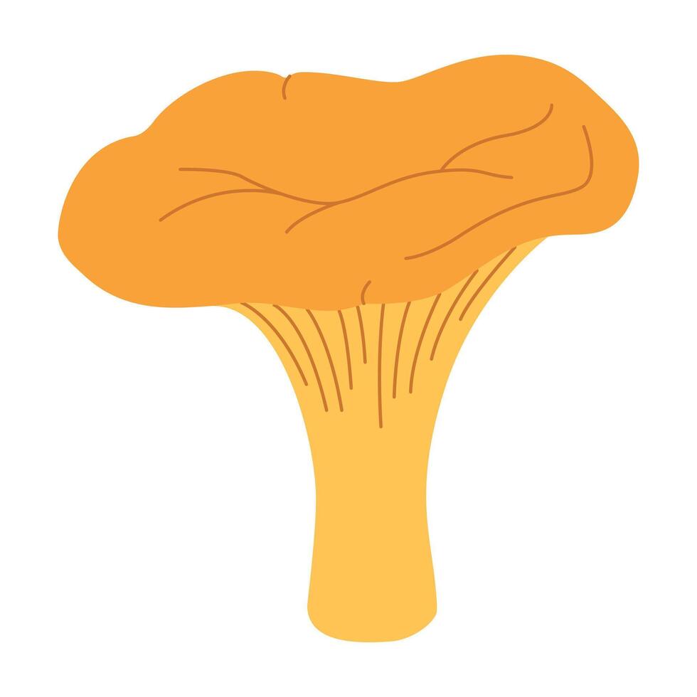 chanterelle illustratie. eetbaar chanterelle champignons. geel paddestoel. hand- getrokken modieus vlak stijl. tekening herfst Woud oogst vector