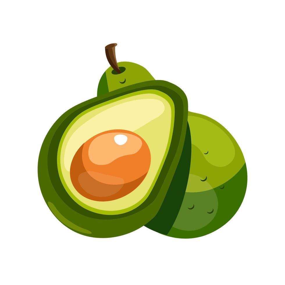 realistisch vers fruit avocado geïsoleerd Aan wit achtergrond. geheel en besnoeiing in voor de helft avocado met pit vector