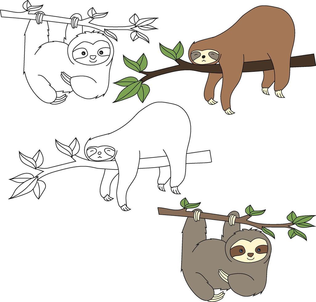 luiaard clip art. wild dieren clip art verzameling voor geliefden van oerwouden en dieren in het wild. deze reeks zullen worden een perfect toevoeging naar uw safari en dierentuin-thema projecten. vector