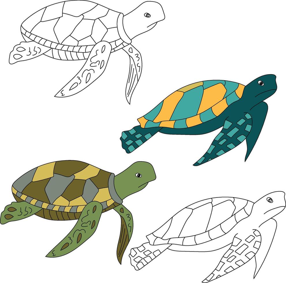 zee schildpad clip art. aquatisch dier clip art voor geliefden van onderwater- zee dieren, marinier leven, en zee leven vector