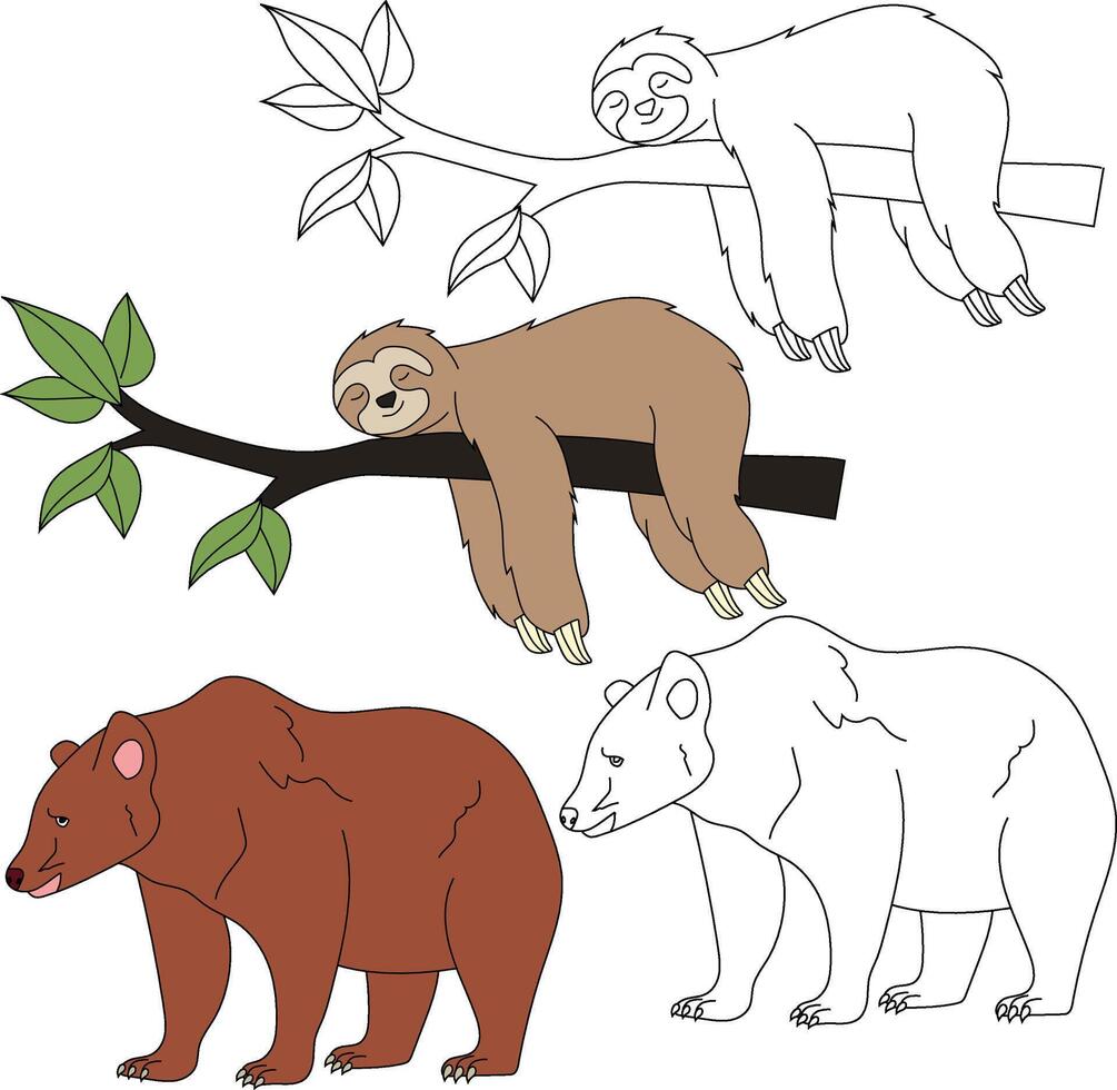 luiaard en beer clip art. wild dieren clip art verzameling voor geliefden van oerwouden en dieren in het wild. deze reeks zullen worden een perfect toevoeging naar uw safari en dierentuin-thema projecten vector