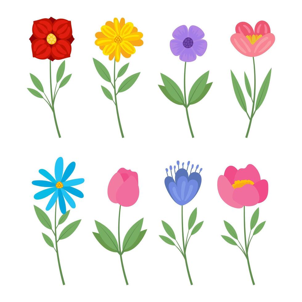 verschillend wild bloemen illustraties reeks verzameling van weide of veld- bloemen vector