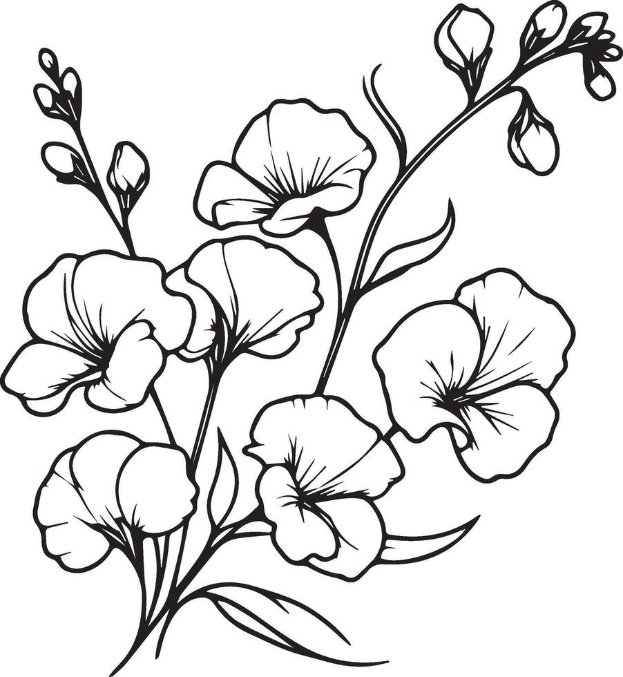 geboorte maand bloemen zoet erwt illustratie, zomer zoet erwten bloem collecties. zoet erwt bloem muur kunst, zoet erwt bloem tekening met kleur Pagina's, hand- tekening botanisch gegraveerde inkt kunst vector