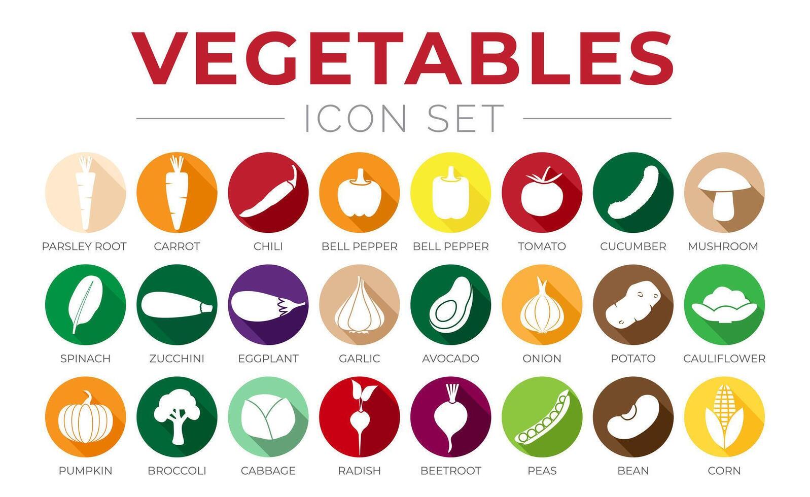 kleurrijk groenten ronde icoon reeks Spaanse peper, paddestoel, spinazie, courgette, aubergine, knoflook, ui, aardappel, tomaat, bloemkool, pompoen, broccoli, kool, radijs, rode biet, erwten, Boon, maïs pictogrammen. vector