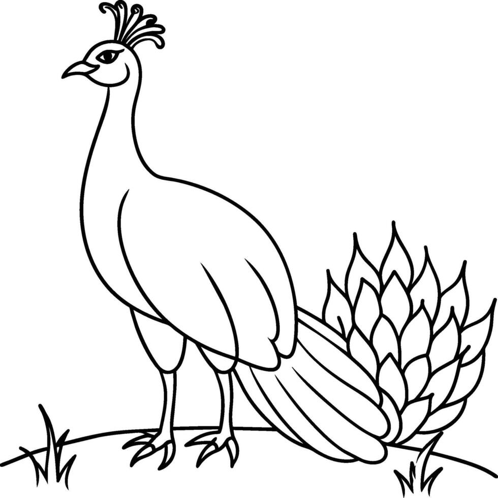 Pauw vogel kleur Pagina's. vector