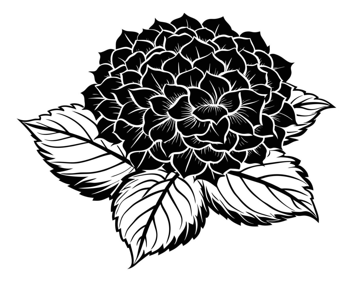 protea bloemen zwart silhouetten vector