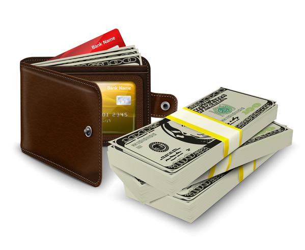 Lederen portefeuille met creditcard en bankrol vector