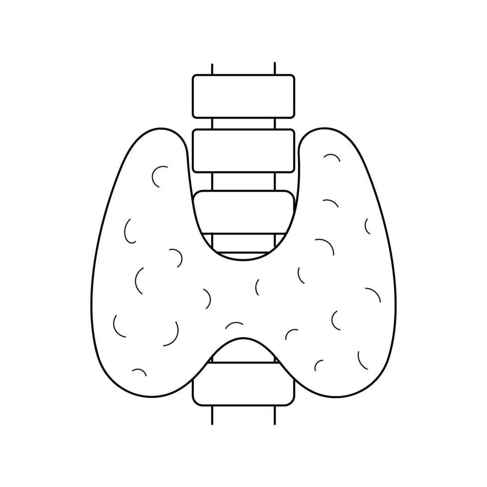 menselijk schildklier schets icoon Aan wit achtergrond vector