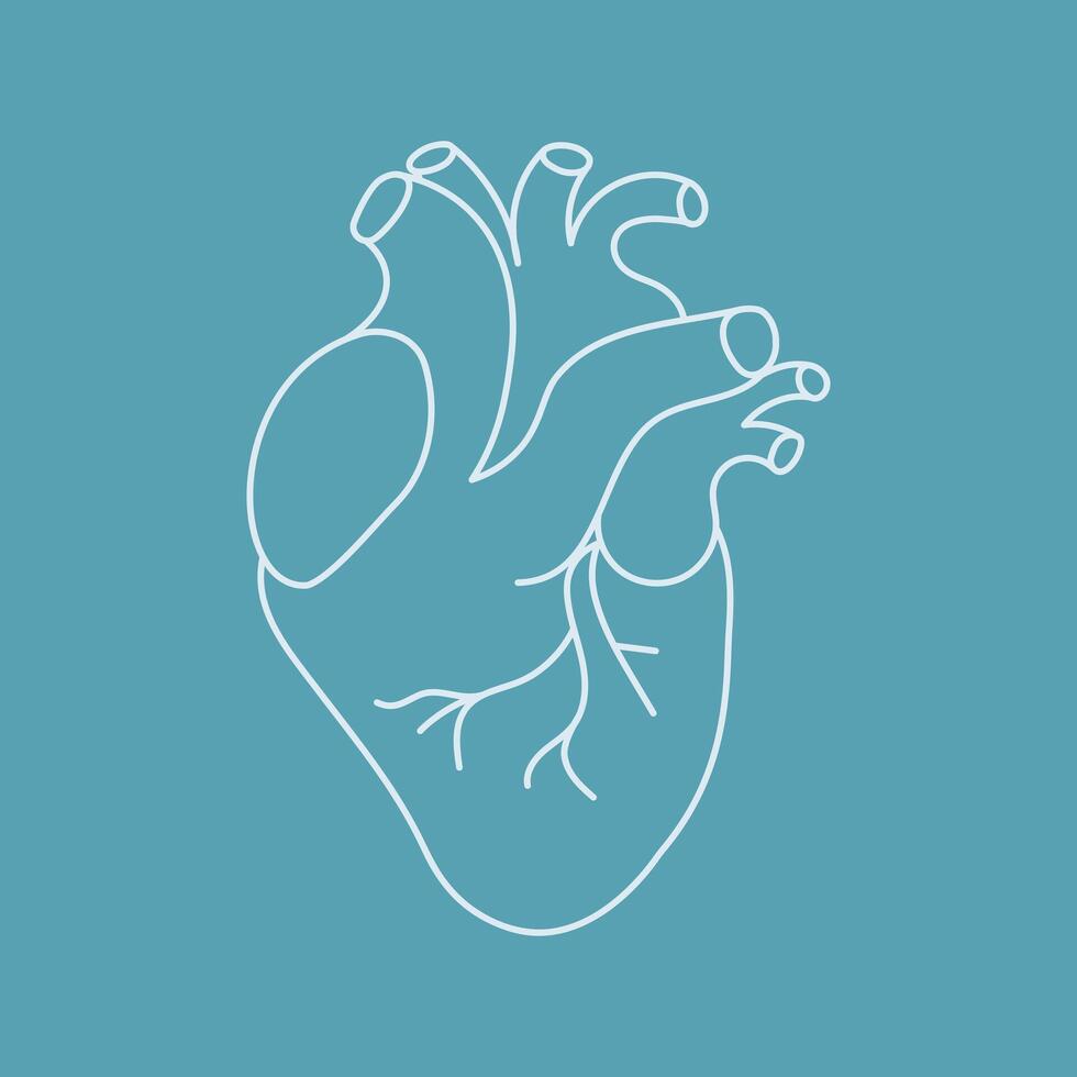 menselijk hart schets icoon Aan blauw achtergrond vector