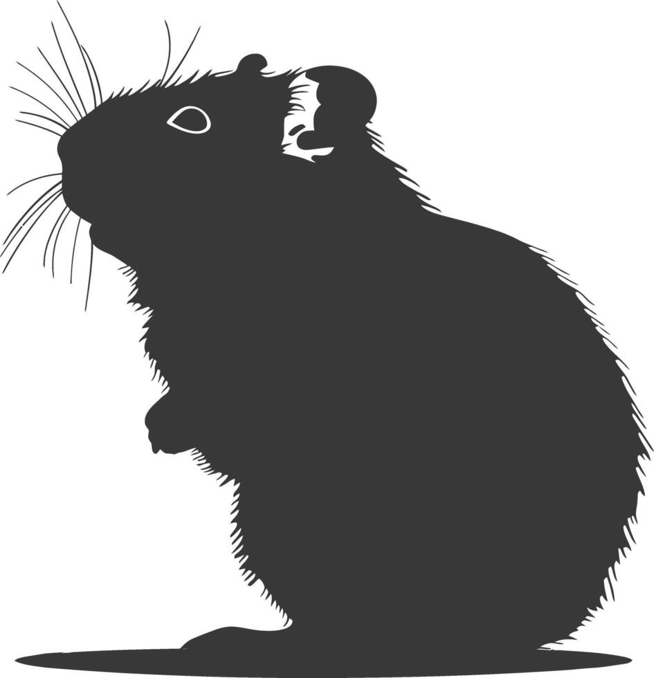 silhouet hamster dier zwart kleur enkel en alleen vol lichaam vector