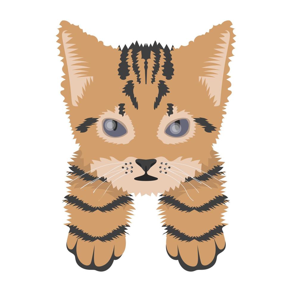 trendy tijgerkattenconcepten vector