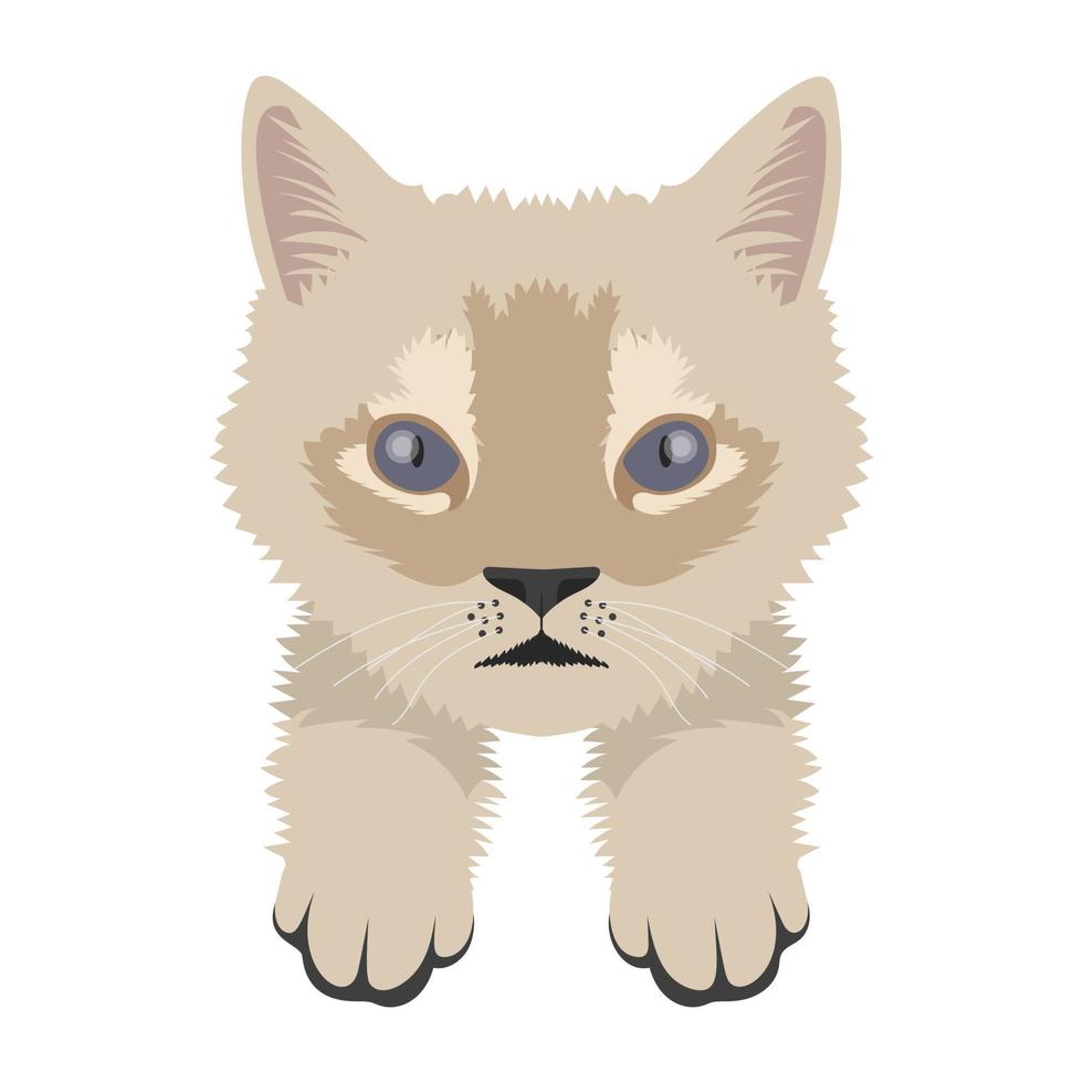 leuke kattenconcepten vector