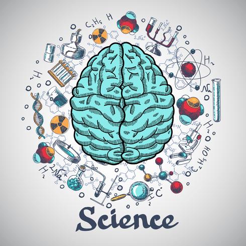 Brain schets wetenschap concept vector