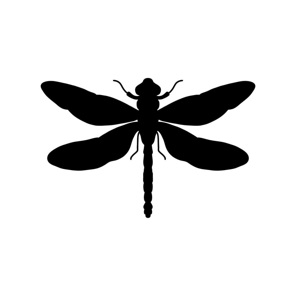 libel zwart en wit silhouet illustratie. zwart en wit realistisch hand- tekening van libel insect Aan wit achtergrond vector