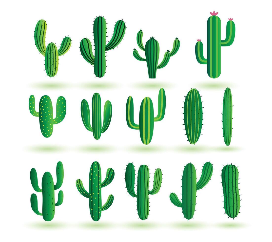verzameling van wild en droog cactus fabriek achtergrond ontwerp vector
