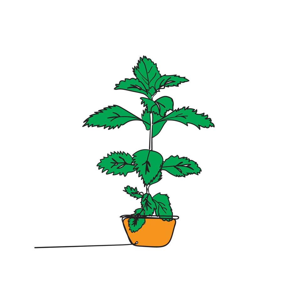 hand tekening doodle plant illustratie ononderbroken lijn vector