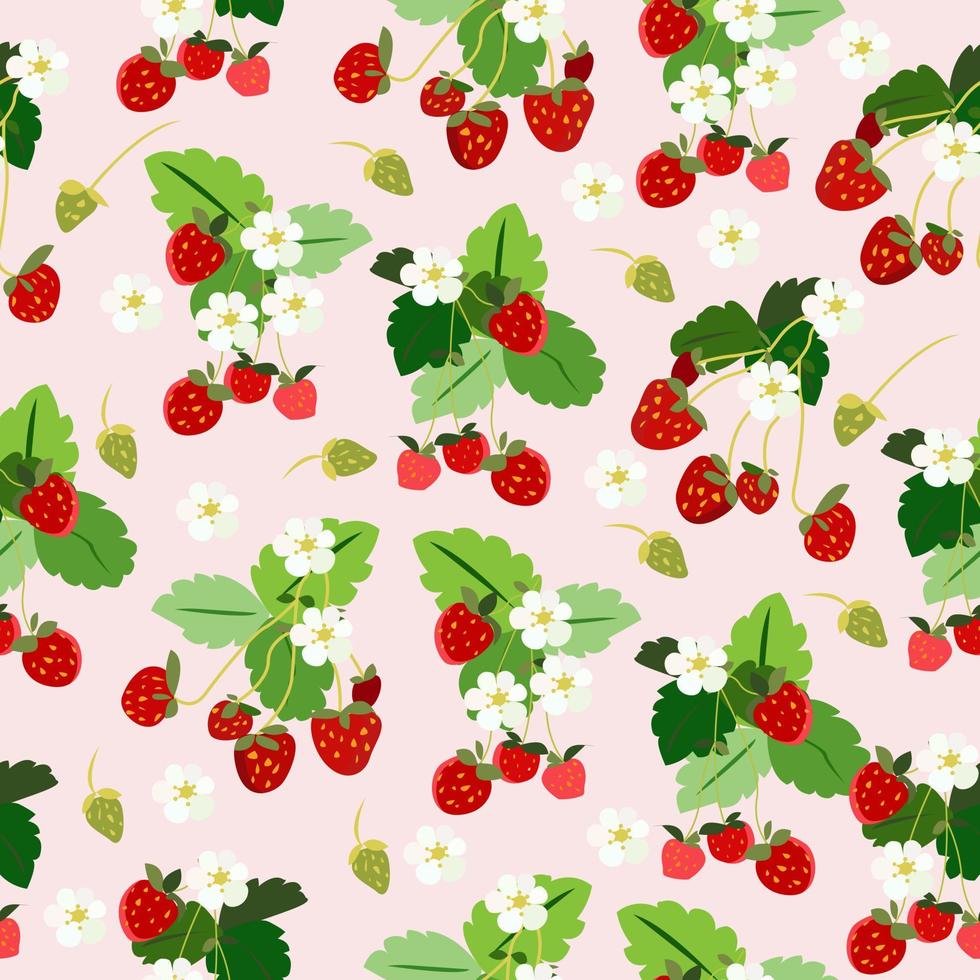 naadloos patroon met aardbeien en witte bloemen vector