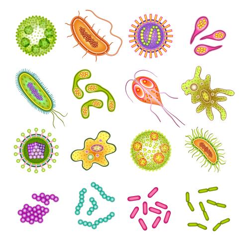 Bacteriën en viruscellen vector