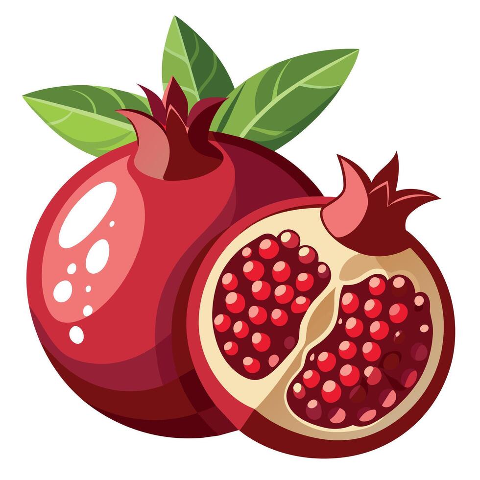 granaatappel fruit illustratie vector